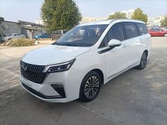 Wuling Jiachen 1.5T CVT Premium Flagship - photo 1