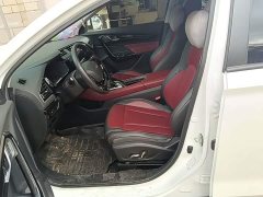 Dongfeng Fengshen AX7 Mach Edition 1.5T DCT DF31 - photo 14