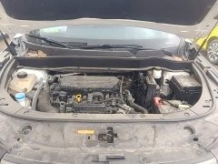 Dongfeng Fengshen AX7 Mach Edition 1.5T DCT DF31 - photo 19