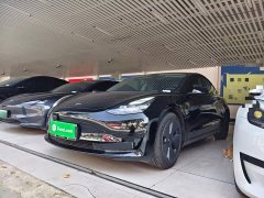 Tesla Model 3 Rear-Wheel Drive - ფოტო 1