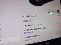 Tesla Model 3 Rear-Wheel Drive - ფოტო 11