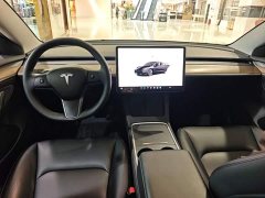 Tesla Model 3 Rear-Wheel Drive - ფოტო 9