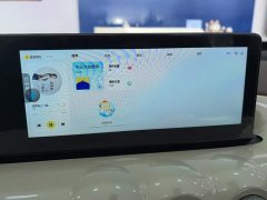Wuling Binguo 203km Comfort Edition - ფოტო 13