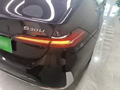 BMW 5 Series 530Li Premier Luxury Package - ფოტო 7
