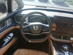 Denza D9 DM-i 980 Four-Wheel Drive Premium - ფოტო 10