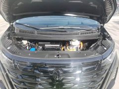 Denza D9 DM-i 980 Four-Wheel Drive Premium - ფოტო 19