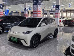 BYD Seagull Freedom Edition - ფოტო 1