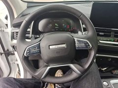 Haval H6 National Trend Edition 1.5T Automatic Champion Version - ფოტო 10