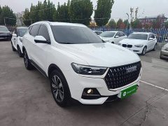 Haval H6 National Trend Edition 1.5T Automatic Champion Version - ფოტო 3