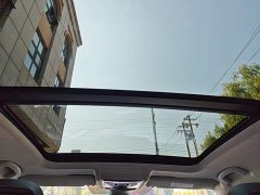 Volkswagen Passat 380TSI Starry Sky Luxury Edition - ფოტო 17