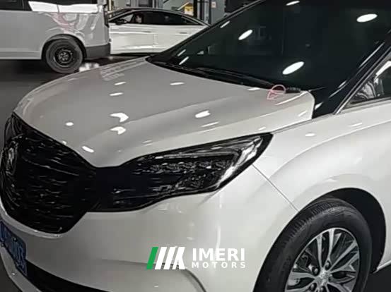 Buick GL8 ES Luxe 653T Comfort