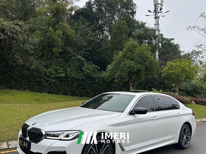 BMW 5 Series 530Li Premier M Sport Package - car from China