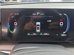BYD Song Pro New Energy DM-i 71KM Glory Edition Pilot - ფოტო 4