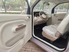 FAW Besturn Xiaoma 222km Dynamic Edition - ფოტო 15