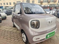 FAW Besturn Xiaoma 222km Dynamic Edition - ფოტო 3