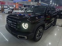 Great Wall Dachshund Facelift 2.0T DCT Four-wheel Drive Xiaotian Dog Edition - photo 1