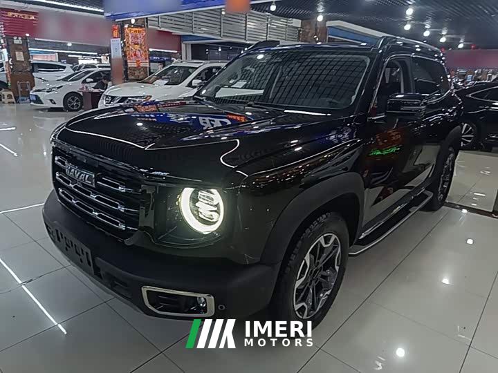 Great Wall Dachshund Facelift 2.0T DCT Four-wheel Drive Xiaotian Dog Edition