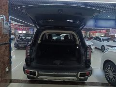 Great Wall Dachshund Facelift 2.0T DCT Four-wheel Drive Xiaotian Dog Edition - photo 18