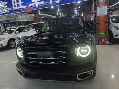 Great Wall Dachshund Facelift 2.0T DCT Four-wheel Drive Xiaotian Dog Edition - photo 2