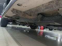 Great Wall Dachshund Facelift 2.0T DCT Four-wheel Drive Xiaotian Dog Edition - photo 20