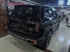 Great Wall Dachshund Facelift 2.0T DCT Four-wheel Drive Xiaotian Dog Edition - photo 6