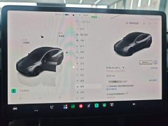 Tesla Model Y Performance All-Wheel Drive - ფოტო 11