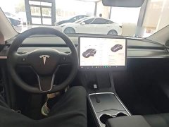 Tesla Model Y Performance All-Wheel Drive - ფოტო 9