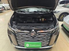 Buick GL8 Land Business Class Comfort Edition - ფოტო 19