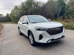 Haval M6 PLUS 1.5T Manual Elite Smart Connected Edition - ფოტო 3
