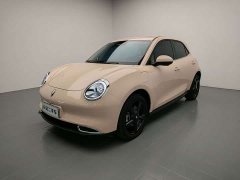 ORA Good Cat 401km Luxury - ფოტო 1