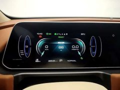 ORA Good Cat 401km Luxury - ფოტო 10
