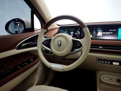 ORA Good Cat 401km Luxury - ფოტო 11