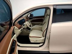 ORA Good Cat 401km Luxury - ფოტო 12