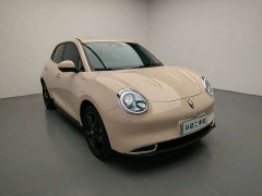 ORA Good Cat 401km Luxury - ფოტო 3