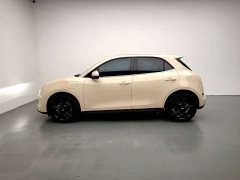 ORA Good Cat 401km Luxury - ფოტო 4