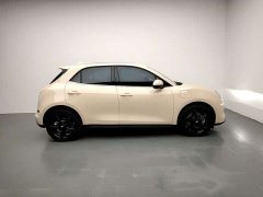 ORA Good Cat 401km Luxury - ფოტო 8