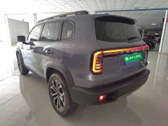 Great Wall Dachshund 1.5T DCT Labrador Edition - photo 4