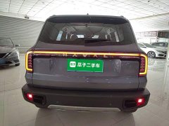 Great Wall Dachshund 1.5T DCT Labrador Edition - photo 5