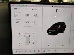 Li Auto L9 Max - ფოტო 11