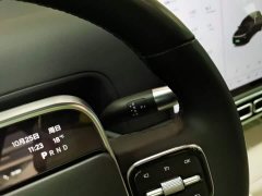 Li Auto L9 Max - ფოტო 13