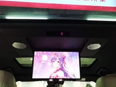 Li Auto L9 Max - ფოტო 17