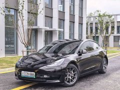 Tesla Model 3 Rear-Wheel Drive - photo 1