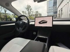 Tesla Model 3 Rear-Wheel Drive - photo 15