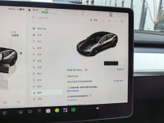 Tesla Model 3 Rear-Wheel Drive - photo 19