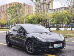 Tesla Model 3 Rear-Wheel Drive - photo 3