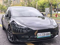 Tesla Model 3 Rear-Wheel Drive - photo 7