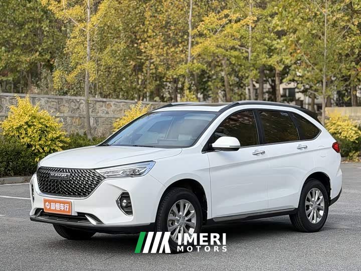 Haval M6 PLUS 1.5T DCT Luxury Smart Connected Edition - ავტომობილი ჩინეთიდან