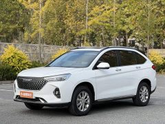 Haval M6 PLUS 1.5T DCT Luxury Smart Connected Edition - ფოტო 1