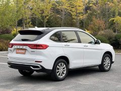 Haval M6 PLUS 1.5T DCT Luxury Smart Connected Edition - ფოტო 4