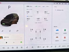 Li Auto L9 Pro - ფოტო 6